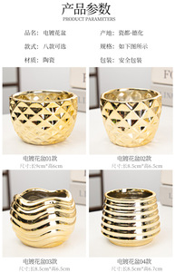 Adornos de escritorio para interiores de estilo europeo americano de oro galvanizado, maceta carnosa de cerámica ligera de lujo - Product Image 6