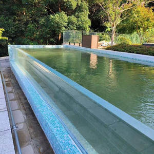 แผ่นพลาสติกที่ขึ้นรูปด้วยการตัดและขึ้นรูปด้วยพลาสติกทำจากพลาสติกอะคริลิคกลางแจ้งปรับแต่งได้หรูหราสำหรับสระว่ายน้ำ - Product Image 2