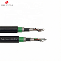 Cable Ignífugo GYTZA53 2-144C con Tubo Suelto, Reforzado con FRP, Doble Armadura, para Entierro Directo