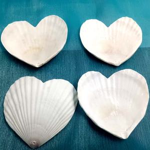 Coquilles Saint-Jacques Naturelles Blanches en Forme de Cœur, Coquilles Marines Brutes pour Artisanat DIY, Décoration de Mariage à la <span class=keywords><strong>Plage</strong></span> et Fêtes - Product Image 3