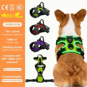 Ошейник для собак QCool с улучшенной сетчатой тканью, светодиодной подсветкой для экстренных ситуаций, опцией <span class=keywords><strong>GPS</strong></span> и возможностью индивидуальной настройки для крупных дистрибьюторов, отслеживание питомцев через USB - Product Image 1