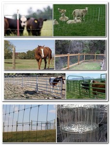 รั้วลวดตาข่ายสำหรับปศุสัตว์ราคาดีที่สุด รูปแบบ S Knot สำหรับม้า กวาง วัว ควาย ฟาร์ม ไร่นา - Product Image 3