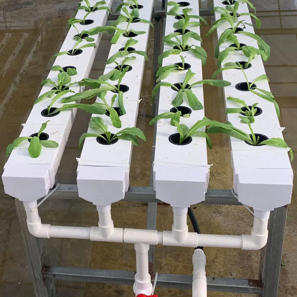 Sistema hidropónico de Interior para jardín, sistema de cultivo de fresas, Canal nft