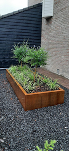 Different Shape Corten Steel Weather Resistant Eco-Friendly Indoor Outdoor Flower Pots & <b>Planter</b> <b>Boxes</b> for Home Garden - Product Image 6