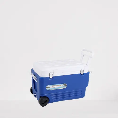 पोर्टेबल मछली पकड़ने बर्फ बाल्टी घरेलू आकार Takeaway कूलर बॉक्स संरक्षण बॉक्स refri gerator कार आउटडोर कूलर बॉक्स