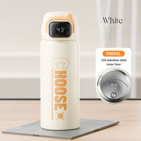 Bouteille isotherme 500 ml avec affichage LED de la température, en acier inoxydable 316, gourde intelligente avec paille