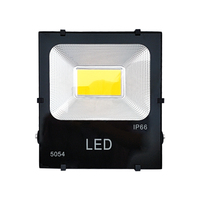 Reflector LED para Exteriores de Alta Potencia, Fundición de Aluminio, Impermeable IP66, para Estadios