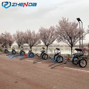 Venta Directa de Fábrica de Rickshaws y Carros de Acero de Alta Calidad, Ideales para Turismo al Aire Libre - Product Image 6