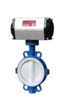 Vanne papillon manuelle à levier en acier inoxydable PN16 DN50-DN600 avec siège en PTFE