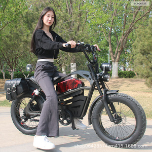 <span class=keywords><strong>Acier</strong></span> de 20 pouces, fabrication américaine Vélo électrique à pneus larges pour adultes, avec double amortisseur, moteur arrière 1500W sans balais, batterie lithium 48V 15AH - Product Image 2