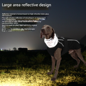 Abrigo impermeable para perros, chaqueta, <span class=keywords><strong>chaleco</strong></span> para uso en exteriores, accesorio sencillo imprescindible para mascotas, para gatos, perros, para mantener el calor y el frío, Otoño Invierno - Product Image 2