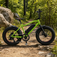 Vélo électrique à pneus larges de 20 pouces 48 V 250 W pour la vente en gros