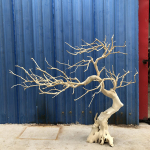 Tronc d'arbre artificiel de décoration d'usine de Guangzhou, branches en bois véritable, arbre sec - Product Image 4