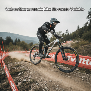 Kit de Suministro al por Mayor de Transmisión Inalámbrica de 13 Velocidades, Frenos de Disco Hidráulicos, Bicicleta de Montaña de Carbono, Varios Tamaños, Downhill, Pintura Personalizada, OVERLORD WheelTop - Product Image 1