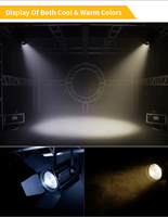 Warmweiß und Kaltweiß 250W LED Studio Fresnel Light für Theater TV Show