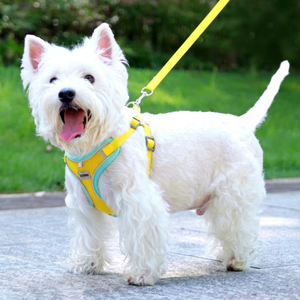 Pet Rower <b>Harness</b> Breathable Reflective Adjustable <b>Small</b> <b>Dog</b> Nylon Buckle Closure Simple Style Solid Color - Product Image 1