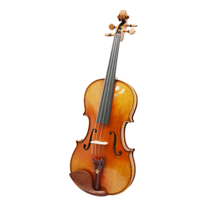 Violín Acústico con Tapa de Abeto, Fondo de Arce, Diapasón de Ébano, Cuerdas de Acero, Acabado Barnizado, Instrumento Musical para Estudiantes - Product Image 1