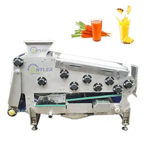 Apple Ginger Belt Type Squeezing Fruit Juice Extraction Machine