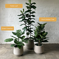 Plantes artificielles Ficus lyrata de 60 pouces, résistantes aux UV, faux arbre Ficus, plante artificielle Banyan pour la décoration intérieure