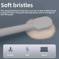 Kit de nettoyage des dents pour animaux de compagnie avec brosse à dents en plastique Dentifrice pour chien et chat-pour mordre et toiletter