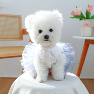 Robe de mariée Andromeda pour chiots et chats, magnifique robe de bal pour animaux de compagnie avec dentelle, élégante - Product Image 5