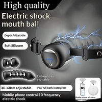 SM Elektroschock 10 Vibrationsmodi Ferngesteuerter Mundknebel Silikon Erwachsenenspielzeug Ball Gag Deep Throat Open Mouth Plug