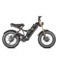 Bicicleta Eléctrica 52V 250W con Cuadro de Acero Aleado, Batería de Litio de 60Ah, Frenos de Disco Hidráulicos y 7 Velocidades para Hombres Adultos