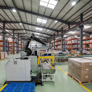 Robot de palettisation industriel haute vitesse Rayman avec composants PLC pour ligne d'emballage de cartons et de sacs - Product Image 3