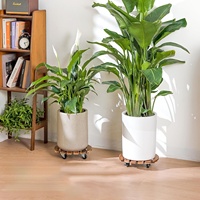 Support de plantes à roulettes pour l'extérieur, lot de 2, plateau roulant avec roues, 12 pouces, support de plantes robuste pour plantes de grande taille