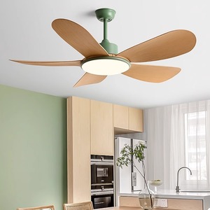 Ceiling Fan Light With Led Integrated Modern Minimalist Inverter For Bedroom Living Room Home Use Fixed Blade 5 Year Warranty - Product Image 2