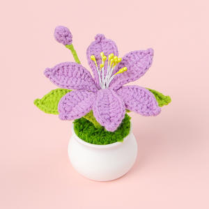 Bunga anggrek buatan tangan, Pot rajut untuk pacar Hari Valentine wisuda hadiah tanaman dekoratif - Product Image 4