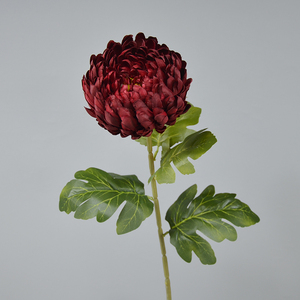 Rama de flor de crisantemo de piña redonda de imitación con hojas verdes Artificial <span class=keywords><strong>Big</strong></span> Callistephus Chinensis para arreglo floral - Product Image 3