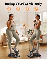Mini pas à pas d'escalier intérieur hydraulique avec bandes de résistance de capacité de chargement LCD 300LBS pour l'exercice de fitness à domicile