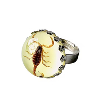 Bague en résine avec spécimen d'insecte réel qui brille dans le noir, scorpion jaune et noir, ajustable, style punk cool, pour homme, cadeau
