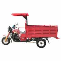 Nouveauté : Tricycle motorisé à moteur essence 200cc avec benne ouverte et toit, capacité de charge lourde pour le transport de marchandises agricoles