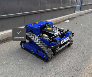 Venta Directa de Fábrica, Cortadora de Césped Robótica de 500 mm de Buena Calidad y Gran Venta, Cortadora de Césped Agrícola con Pala Quitanieves - Product Image 1