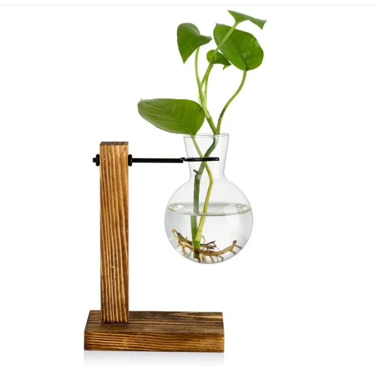 High Quality Propagation Station With Wooden Rack 1 Bulb Vintage Avocado Vase Glass Test Tube Vases