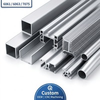 Profilé d'extrusion en aluminium LIANGYIN pour dissipateur de chaleur, mur rideau, façade ventilée, usage architectural et commercial - Alliage 6063 Poudré