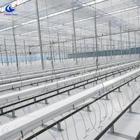 Gouttière de serre pour tomates, revêtement polyester, installation facile avec système rotatif, professionnelle pour les entrepreneurs en travaux.