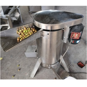 Frantoio per Olive ad Alta Capacità Macchina per Polpa di Olive Denocciolatrice per Separare i Noccioli dei Frutti - Product Image 1