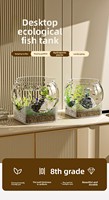 Meilleures ventes : Conteneur de rangement transparent en PET avec base, incassable, organisateur domestique