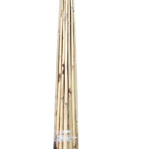 Cannes de bambou minces légères matières premières de bambou naturel pour parterres de fleurs et serres - Product Image 2