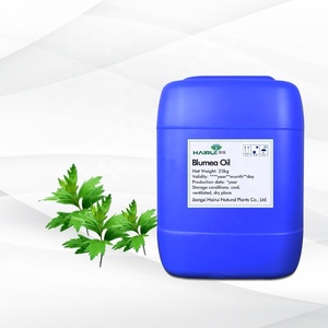 Rifornimento della fabbrica di olio di Blumea di <span class=keywords><strong>erbe</strong></span> naturali per aromaterapia grado Blumea olio per alleviare il disagio del corpo e rilassare i muscoli - Product Image 6