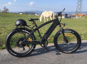 Vélo électrique <span class=keywords><strong>Green</strong></span> Power OEM avec batterie cachée - Product Image 3