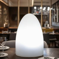 Veilleuse LED en forme d'œuf d'oie à économie d'énergie avec télécommande, lumière chaude en plastique pour chambre/fête, décoration d'ambiance créative