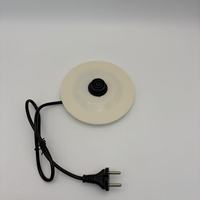Nouvelle arrivée 2026 pour la cuisine, produits tendance, bouilloire électrique en acier inoxydable double couche de bonne qualité