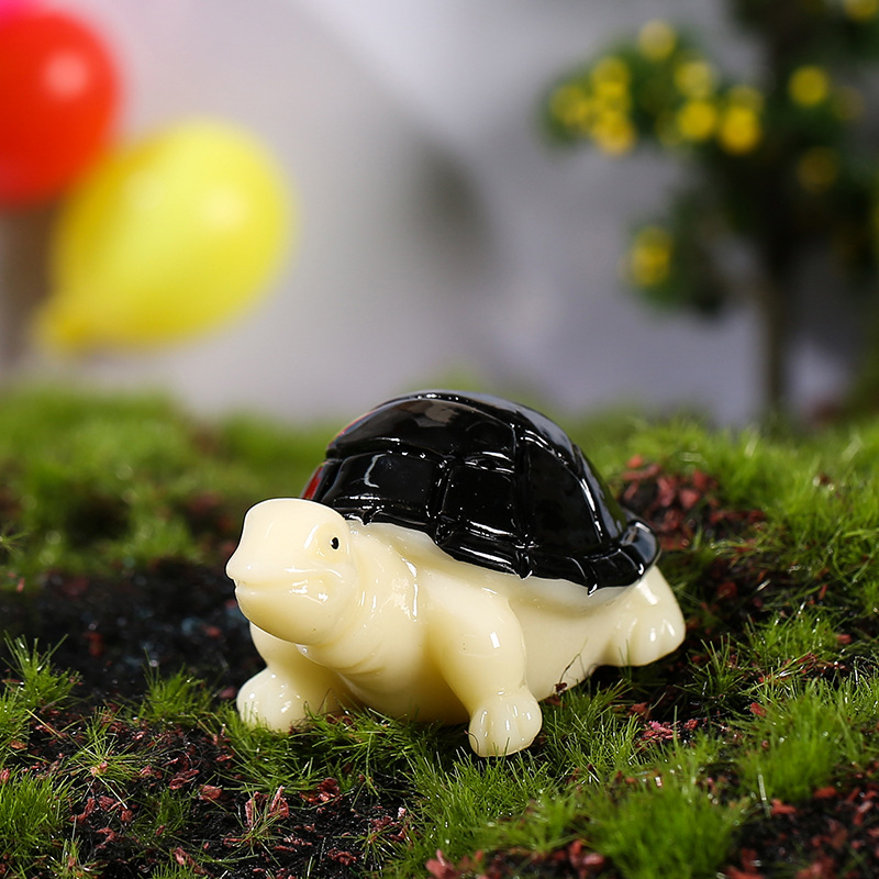 Tortue