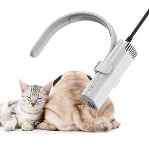 卸売 イオニック 高速 ブラシレスモーター 110000 RPM 速乾 OEM ODM 低騒音 ペットが怖がらない ヘアドライヤー ペット用 ブロワー ドライヤー - Product Image 1