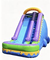 Toboggans aquatiques gonflables d'extérieur en PVC Sunrise FAN BOUNCE pour usage commercial