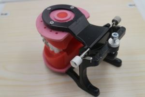 Modèle de typodont dentaire ciré pour orthodontie, pratique orthodontique - Product Image 6